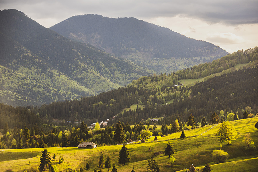 Bewaldete Berge Panorama in Transsylvanien