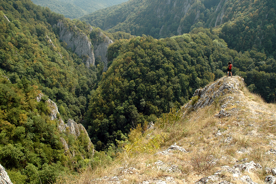 Wandererin schaut über die bewaldeten Weiden und die Varghis-Schlucht von einem Felsvorsprung herab